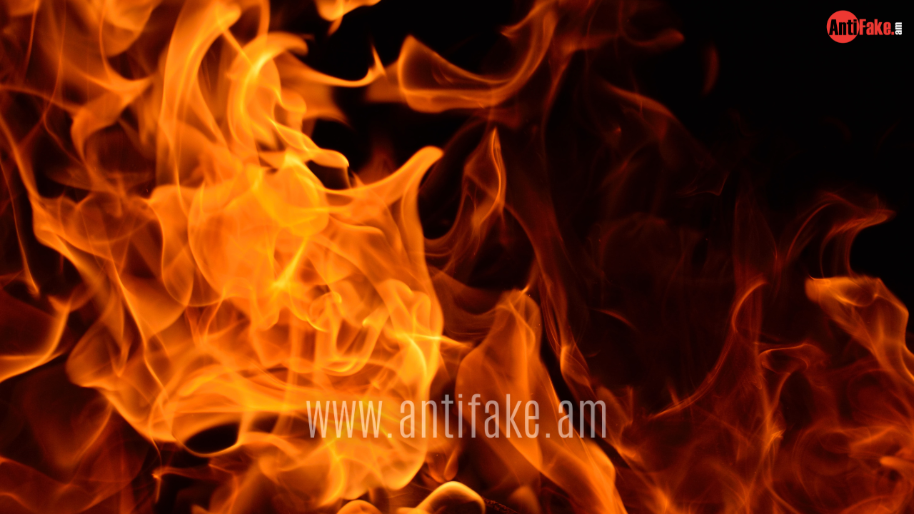 article-image